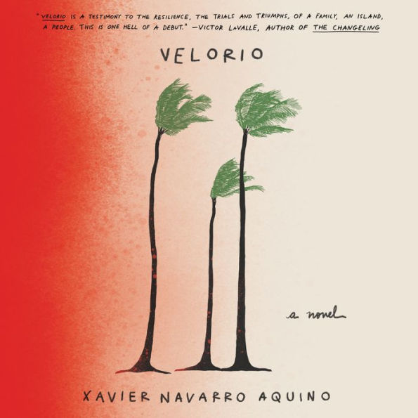 Velorio: A Novel
