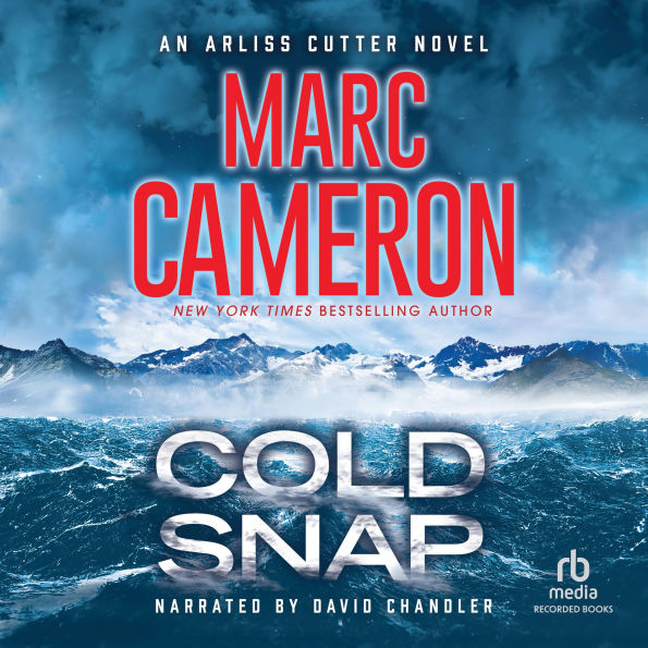 Cold Snap (Arliss Cutter Series #4)