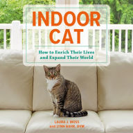 Indoor Cat: How to Enrich Their Lives and Expand Their World