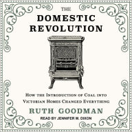 The Domestic Revolution: How the Introduction of Coal into Victorian Homes Changed Everything
