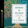 Growing in Holiness: Understanding God's Role and Yours