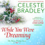 While You Were Dreaming: (Haven Holiday #2)