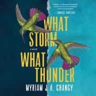 What Storm, What Thunder: A Novel