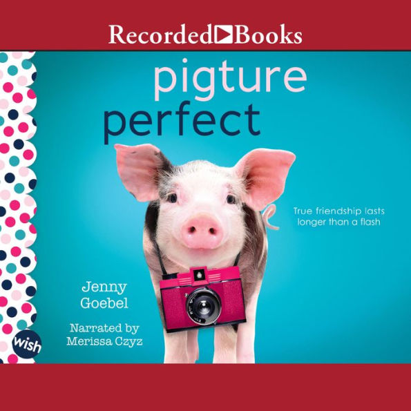 Pigture Perfect: A Wish Novel