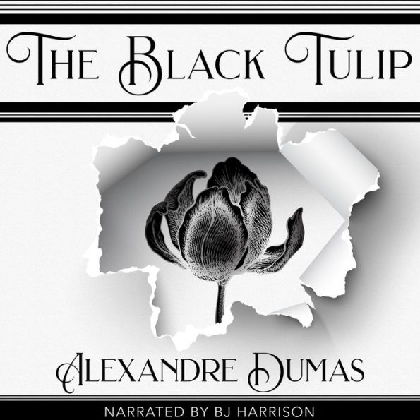 The Black Tulip