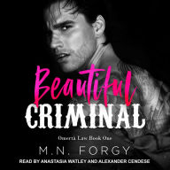 Beautiful Criminal