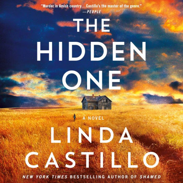 The Hidden One (Kate Burkholder Series #14)