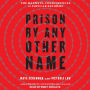 Prison by Any Other Name: The Harmful Consequences of Popular Reforms