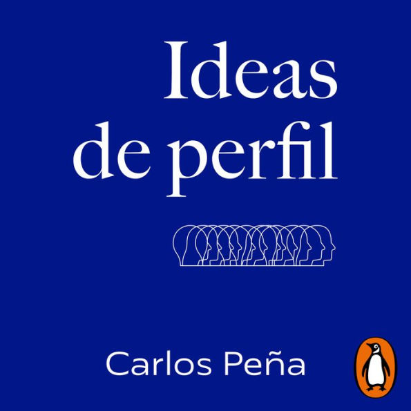 Ideas de perfil