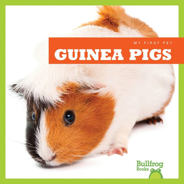 Guinea Pigs