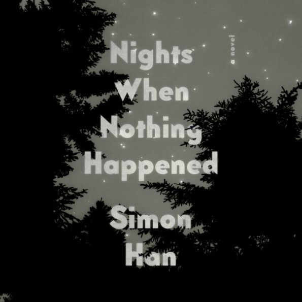 Nights When Nothing Happened: A Novel