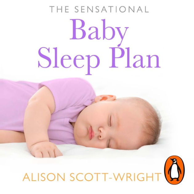 The Sensational Baby Sleep Plan a practical guide to sleeprich and