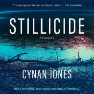 Stillicide: A Novel