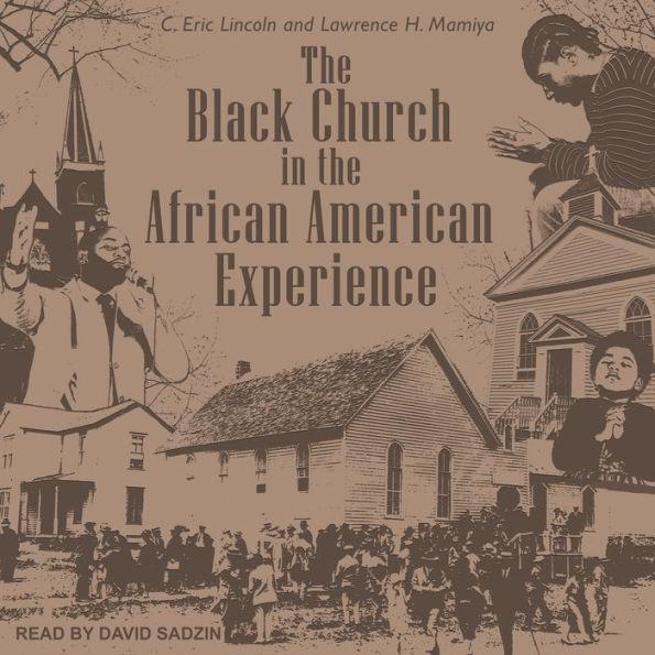 The Black Church in the African American Experience