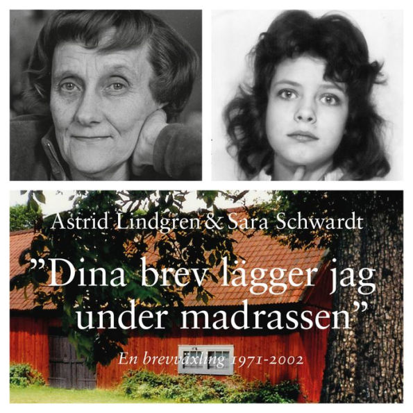 Dina brev lägger jag under madrassen: en brevväxling 1971-2002