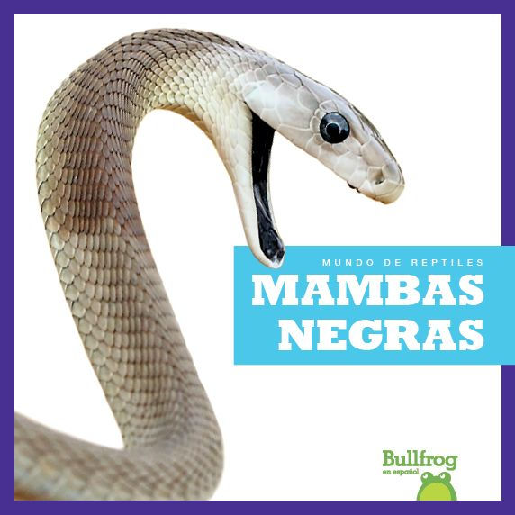 Mambas negras