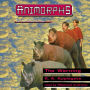 The Warning (Animorphs Series #16)
