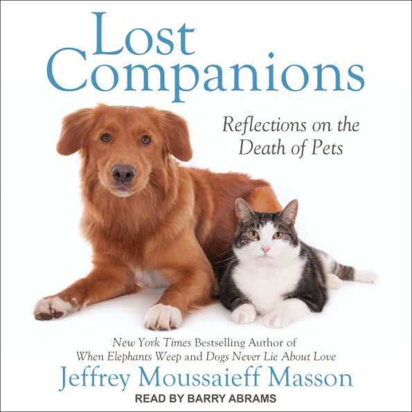 Lost Companions: Reflections on the Death of Pets