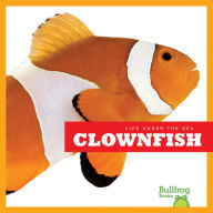 Clownfish