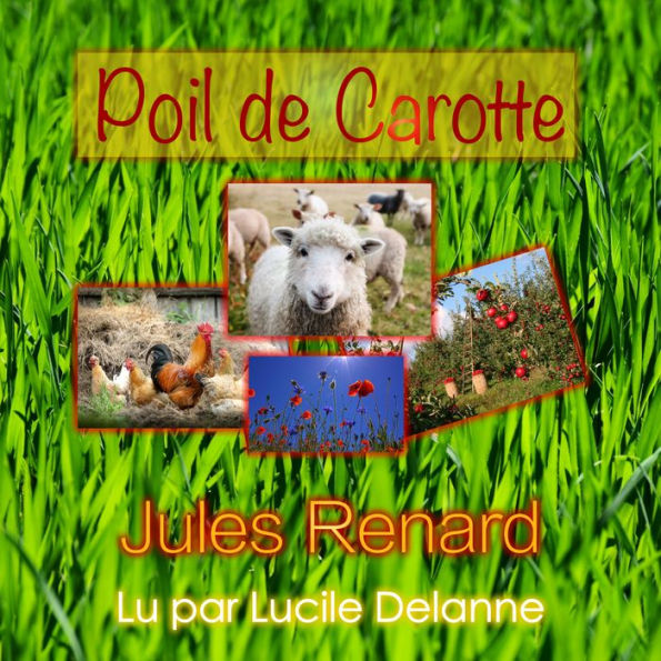 Poil de Carotte