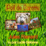 Poil de Carotte