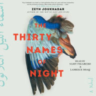 The Thirty Names of Night: A Novel