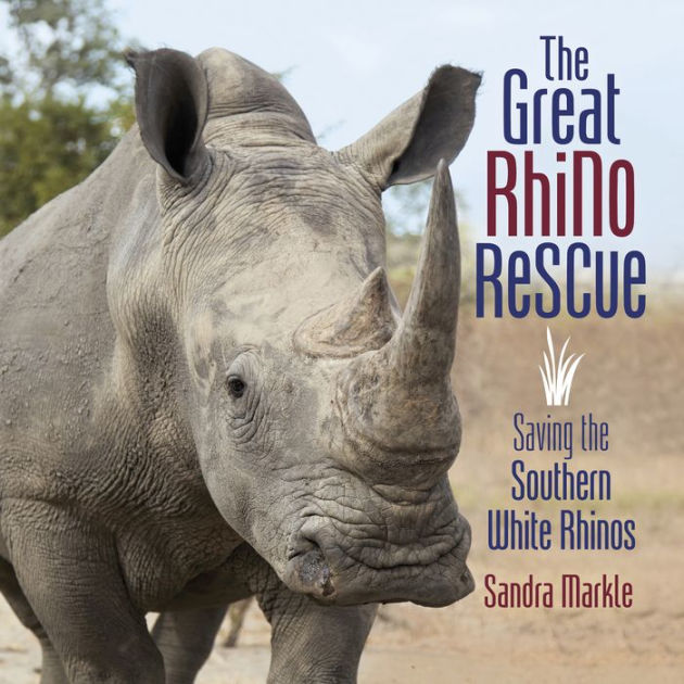 Baby Rhino Rescue – Saving The Survivors