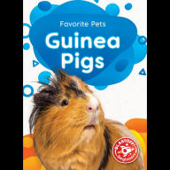 Guinea Pigs