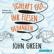 Schlaft gut, ihr fiesen Gedanken (Turtles All the Way Down)