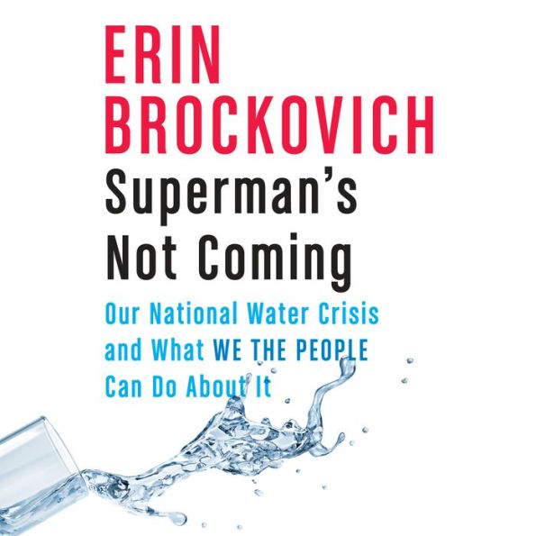 Superman's Not Coming: Our National Water Crisis and What We the People Can Do About It