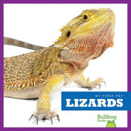 Lizards