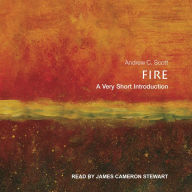 Fire: A Very Short Introduction