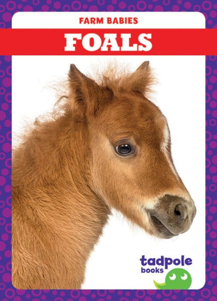 Foals