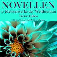 Novellen: Zehn Meisterwerke der Weltliteratur: Türkise Edition