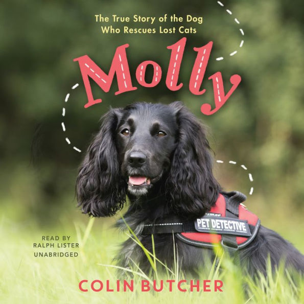 Molly: The True Story of the Dog Who Rescues Lost Cats