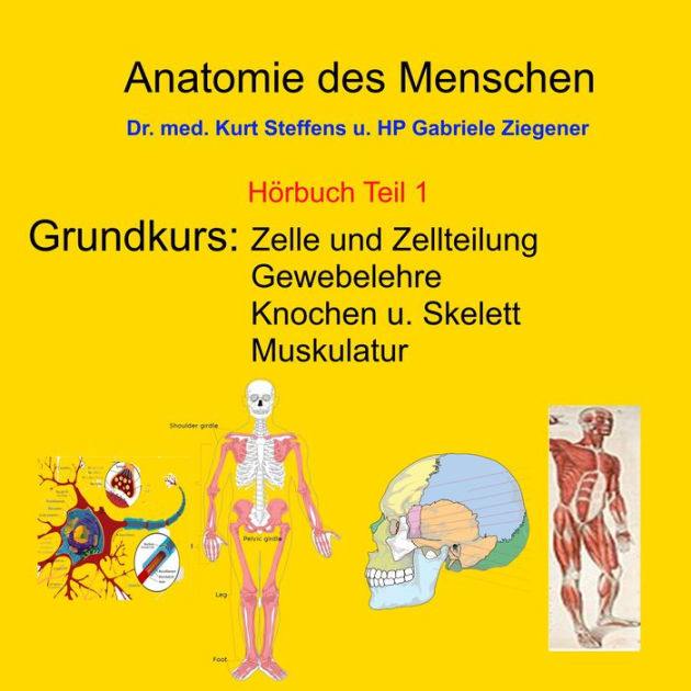 Anatomie Des Menschen Teil 1 Grundkurs Zelle Und Zellteilung