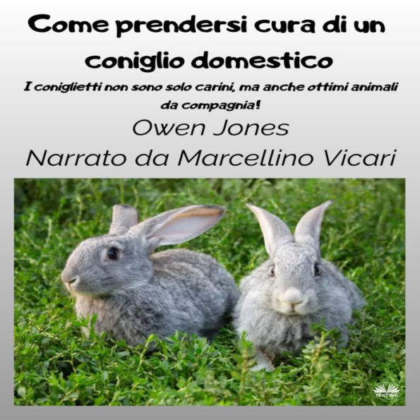 Come Prendersi Cura Di Un Coniglio Domestico: I Coniglietti Non Sono Solo Carini, Ma Anche Ottimi Animali Da Compagnia!