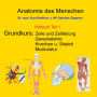 Anatomie des Menschen Teil 1: Grundkurs: Zelle und Zellteilung, Gewebelehre, Knochen und Skelett, Muskulatur