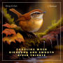 Carolina Wren Birdsong and Smooth River Trickle: A Soundscape for Relaxation and Meditation