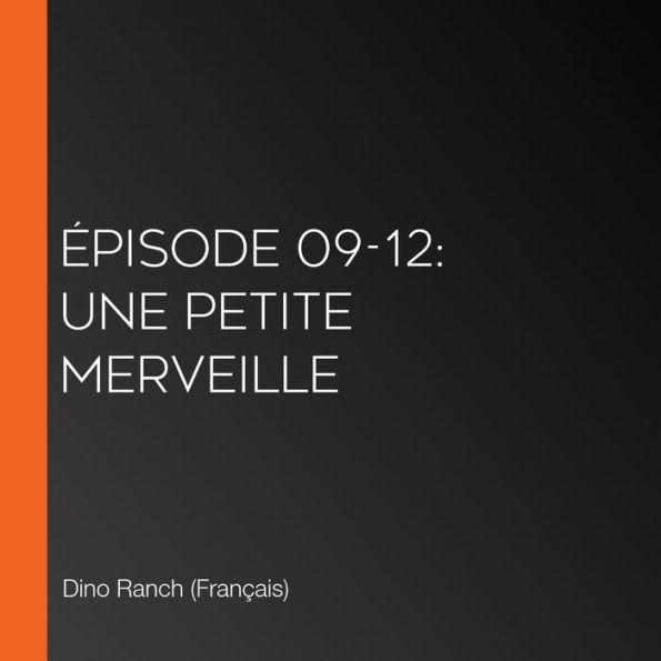 Épisode 09-12: Une petite merveille