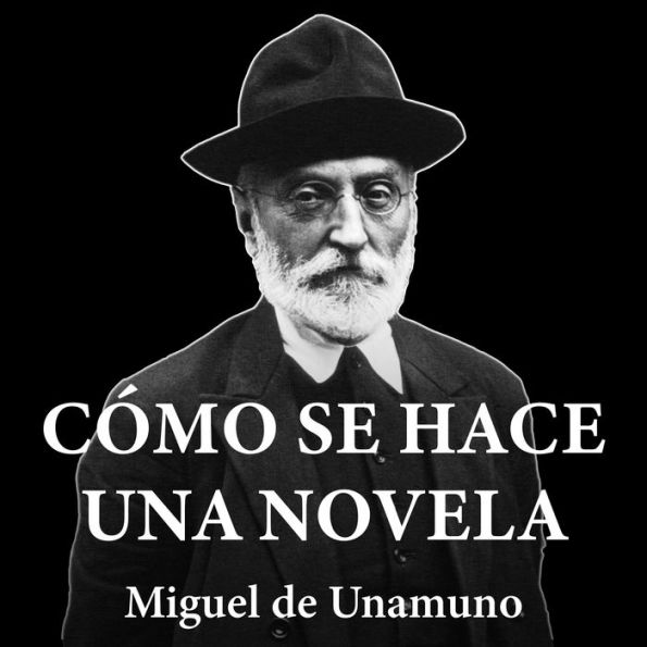 Cómo se hace una novela