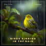 Birds Singing In The Rain: Ambient Audio for Holistic Living