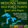 Foraging Medicinal Herbs and Wild Edible Plants in the Great Lakes Region: Upper Midwest and Ontario - Identify, Harvest, Prepare and Store Wild Foods and Healing Herbs and Plants