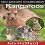 Kangaroos: Photos and Fun Facts for Kids