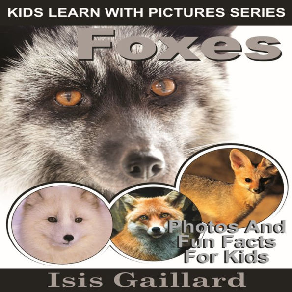 Foxes: Photos and Fun Facts for Kids