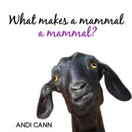 What Makes a Mammal a Mammal?