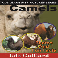 Camels: Photos and Fun Facts for Kids