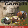 Camels: Photos and Fun Facts for Kids