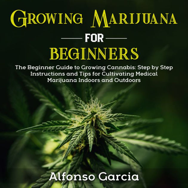 Beginner's Guide to Growing Marijuana