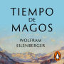 Tiempo de magos: La gran década de la filosofía: 1919-1929